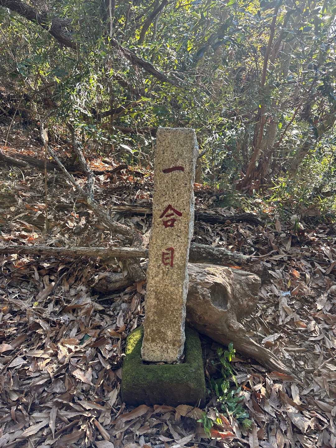 一号目