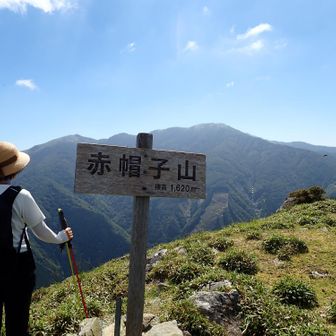 太郎さんがバックに！　次郎さんは太郎さんに隠れて線でしか見えない