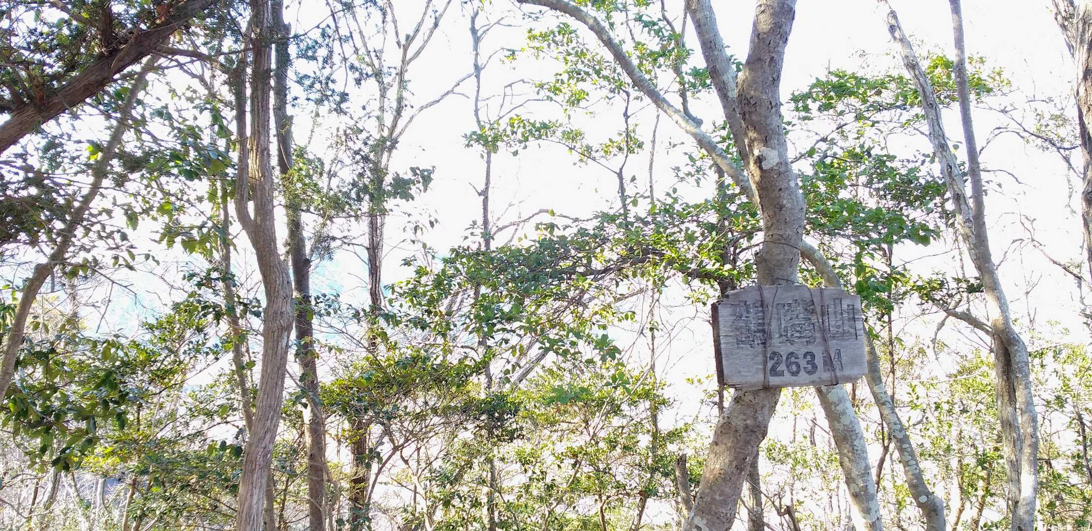 鶴嘴山山頂　263㍍