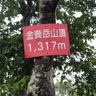 金糞岳山頂