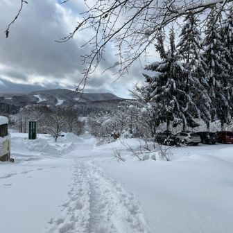 登山口に帰ってきたー
楽しかった！