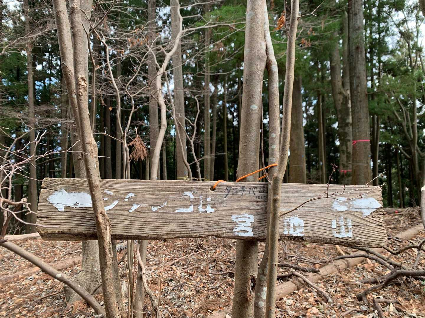 少し横に標識、手書きでしたがありました💦
タコチバ山　山頂
588m