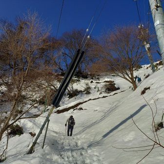 なるべく濃い目が
好み