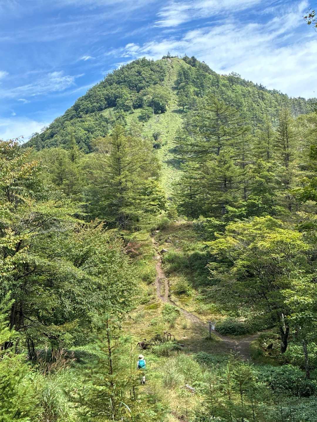 笠取山がみえます。