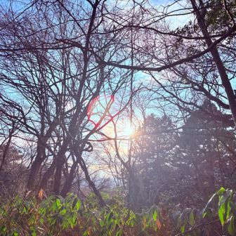 ☀️の向こうになにか真っ白にみえるのは