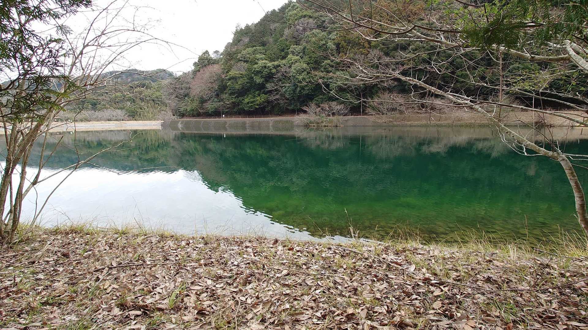大目配登山口-大目配-薬王寺峠-京王山-鬼王山-妙見山 周回コースの写真