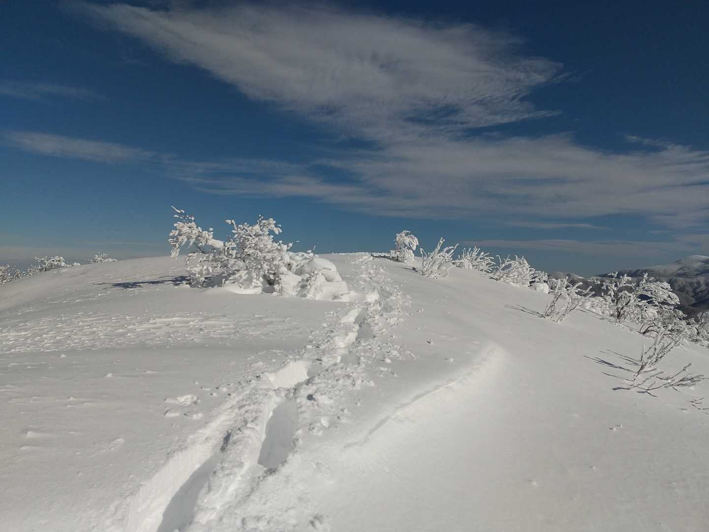 山頂は広め