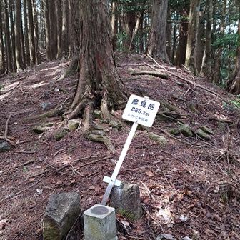 少し横へ進むと彦見岳の三角点▲タッチ！