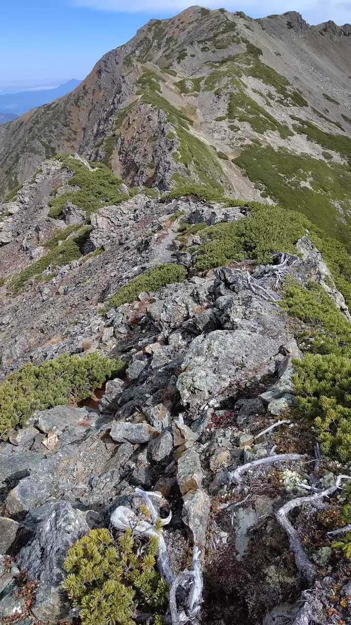 小仙丈ヶ岳の写真