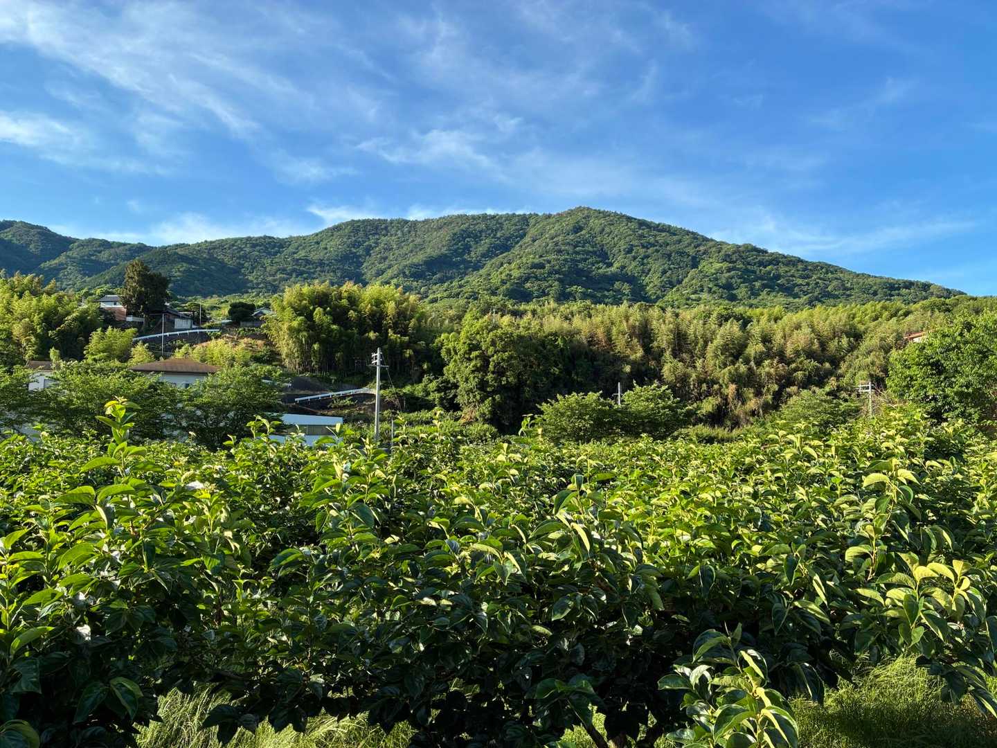 行くよー❗️龍門山
