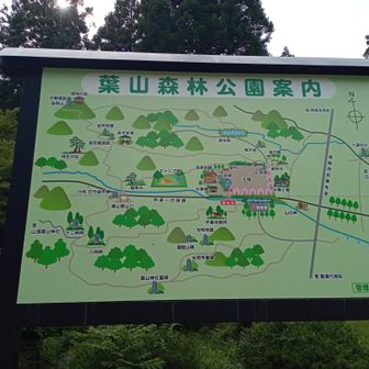 参道は歩きやすく、快調に下山しました。