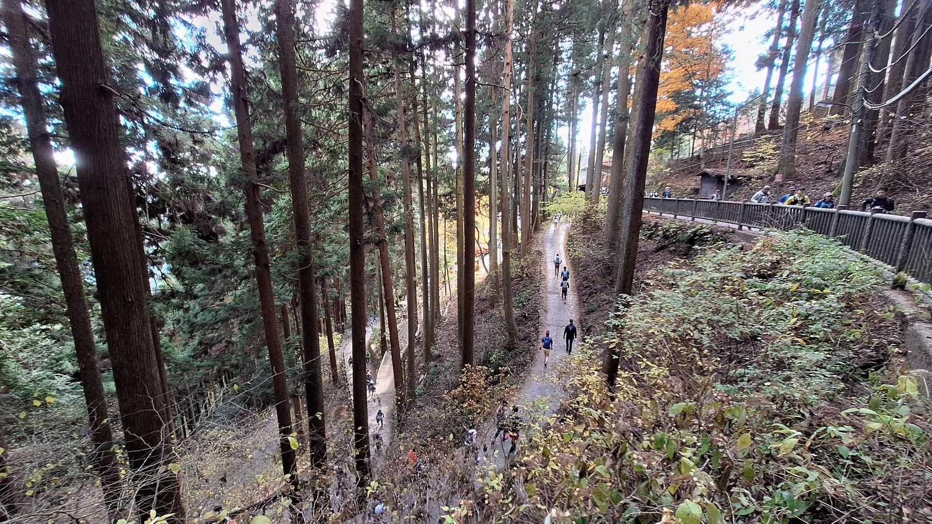 とりあえず平坦部に到着、写真撮影で一息。
御岳平で撮影する余力なく