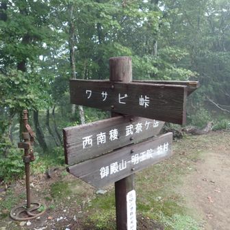 ワサビ峠