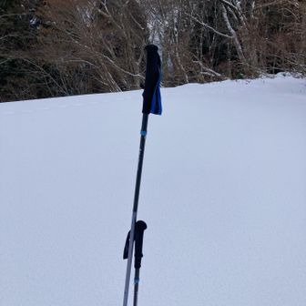 50㎝ぐらい、ぶっ刺さりました。