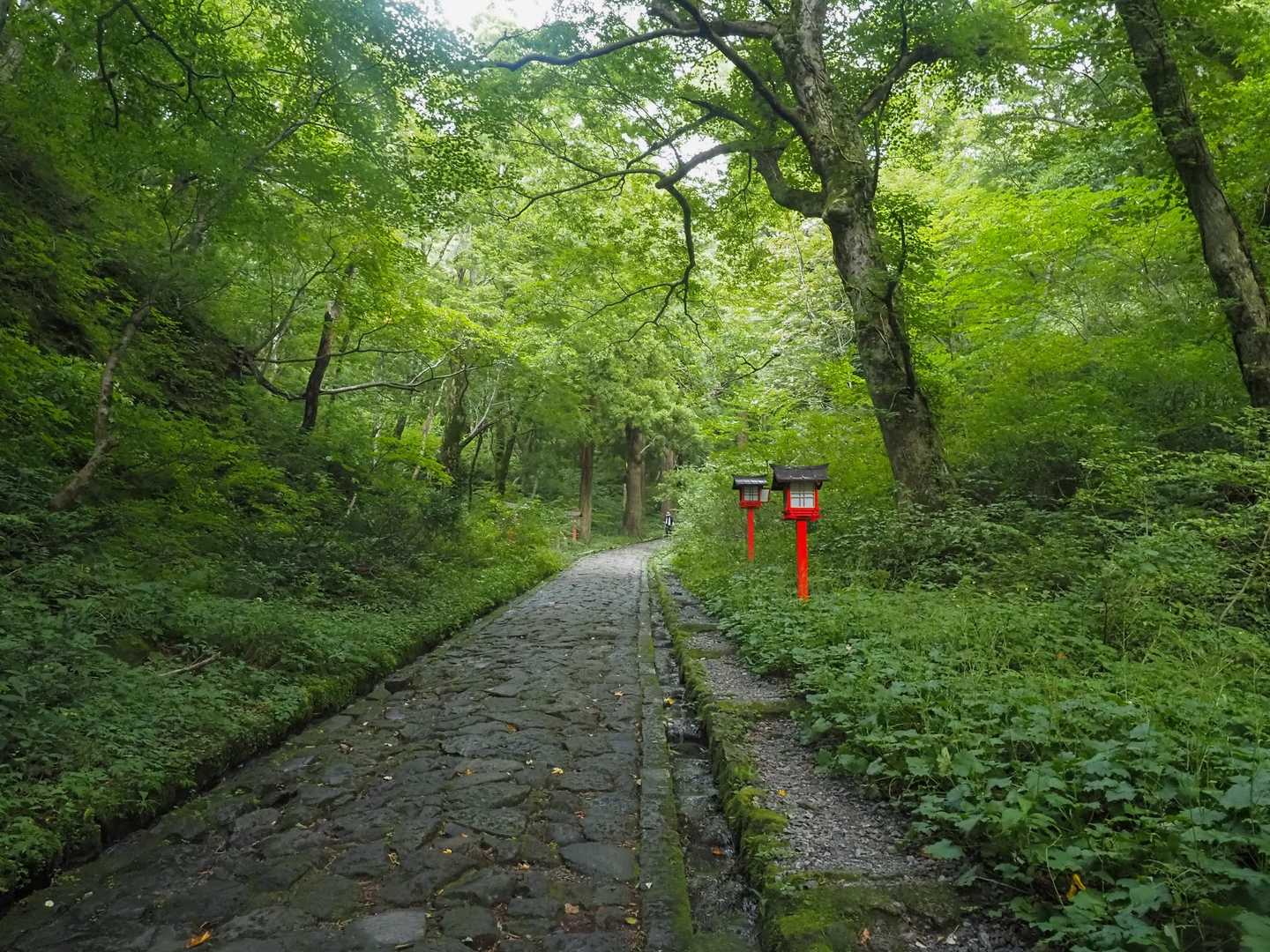 今日は人多くて撮りづらい