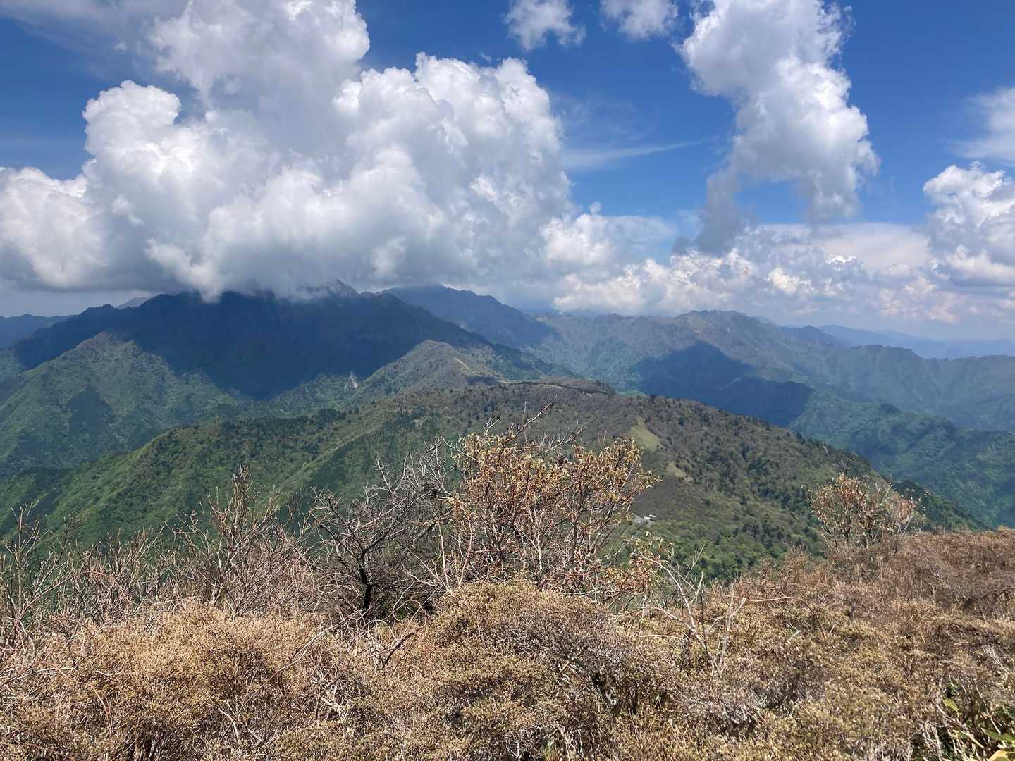 新緑の山並みがきれいすぎて見とれるー🌿