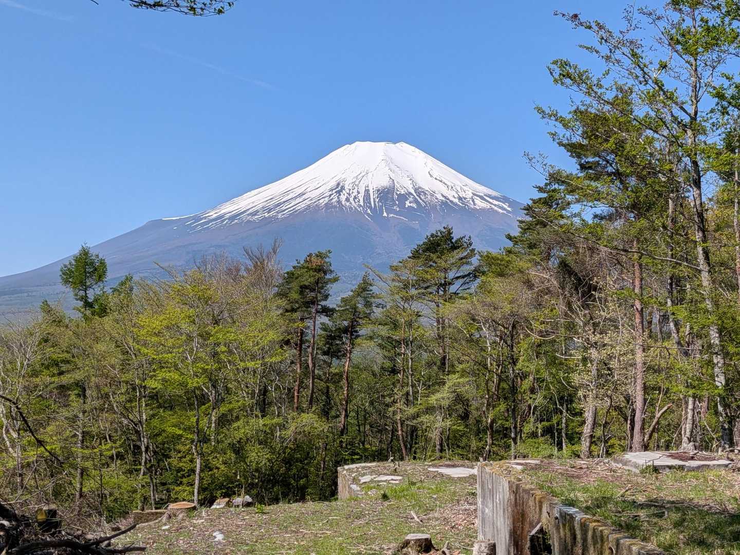 長池親水公園前バス停-大平山ハイキングコース入口-大平山- 周回コースの写真