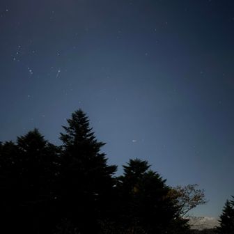 残念ながら月明りで星空はうまく撮れず