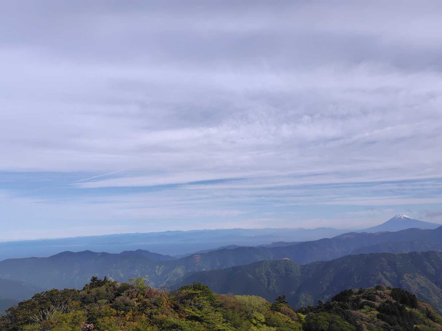 立っていられません💦撮って退散💦