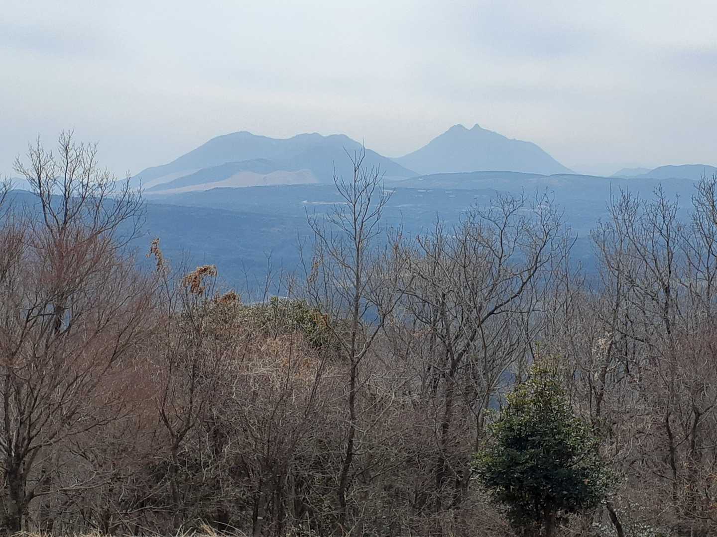 「鶴見岳と由布岳が幻想的」と感慨深げに眺めた直後→「もしや杉花粉？…」と悪魔が囁いた。