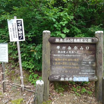 駐車場は満車でした。