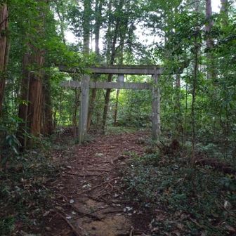 登山口登り始めてすぐの鳥居