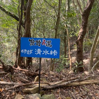 清水峠は看板が多い