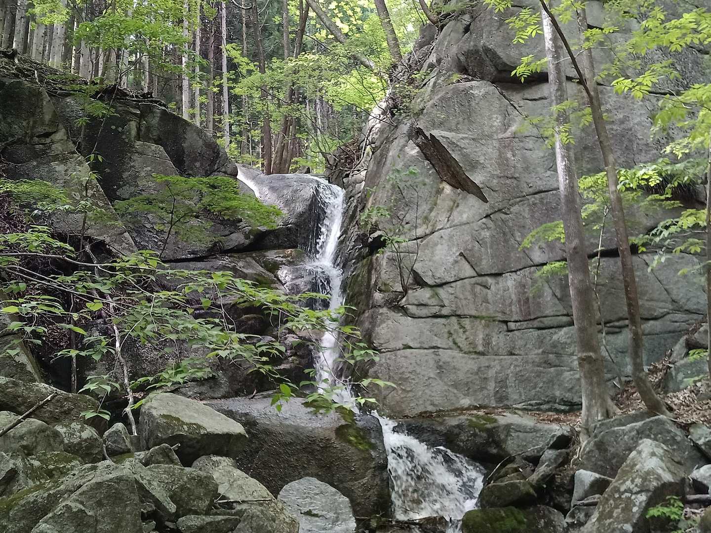 登山道の終点で見られる滝