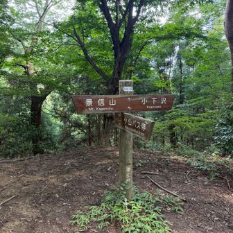 尾根に登れば景信の山頂はもうすぐです