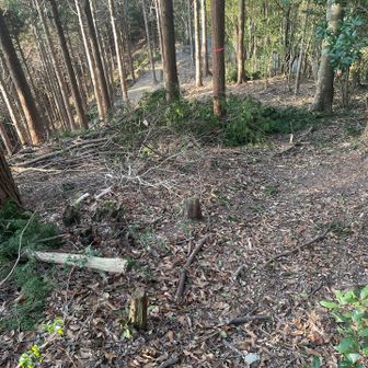 山頂から下った先に林道が見えます