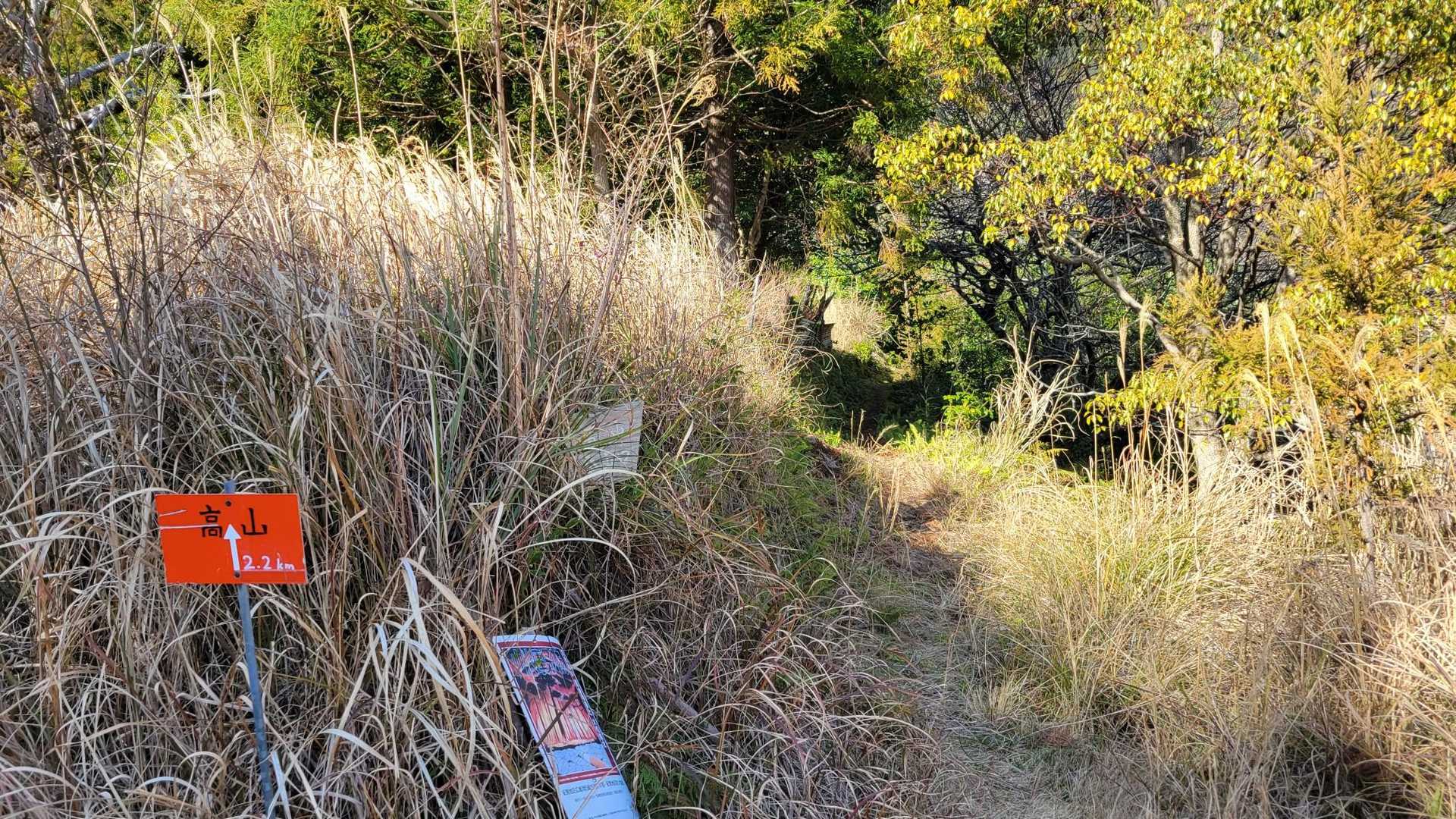 高山登山口　スタート🚶‍♀️