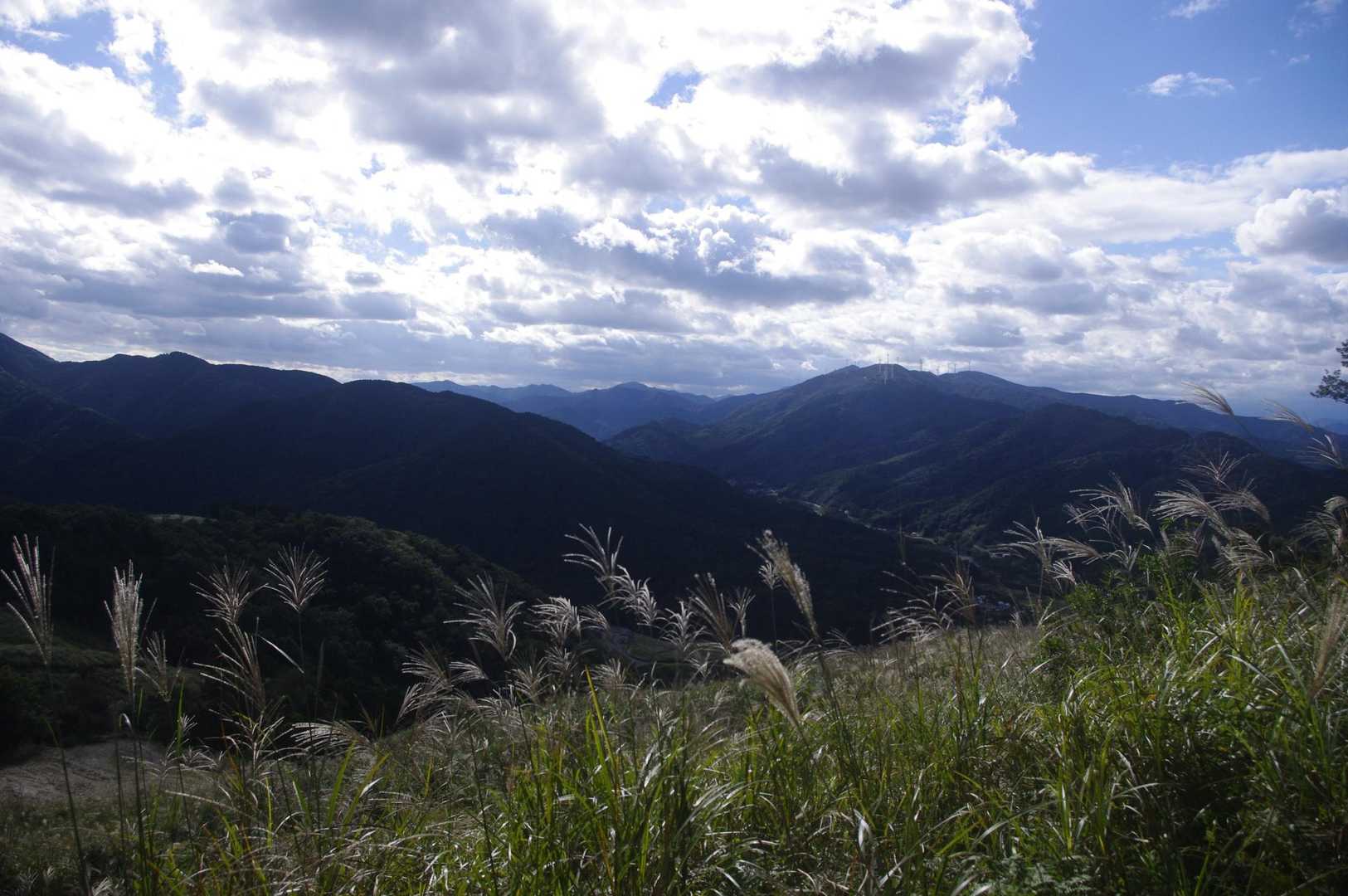 帰り道でも伊勢神宮の御萱場（だと思う）を撮影