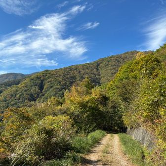 淡々と紅葉の中を降りるのみ