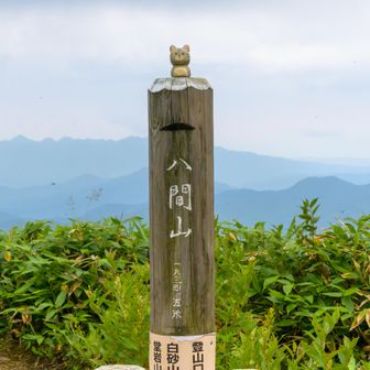 八間山到着
トンボさんも一緒に