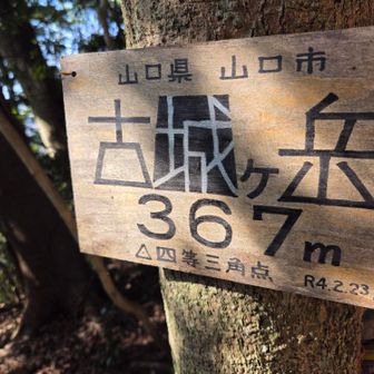 古いほうの山頂表示板
愛されてるお山だなぁと伝わってきます