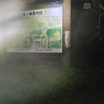 真っ暗でガスガスの登山口
近道の猛烈な薮こぎを避けて無難に林道で帰還。