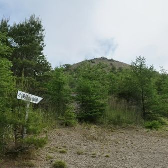 森を抜けると小浅間山の取り付き
少し靴が沈みやすい軽石ベースの踏面を登る
