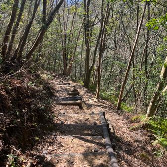 階段がずっと続いてきつかった〜💦💦