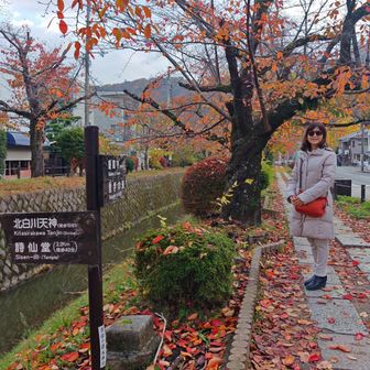 奥さまとデートです。
