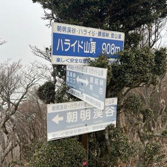 この時点で🍄‍🟫無いから終わったわ😭