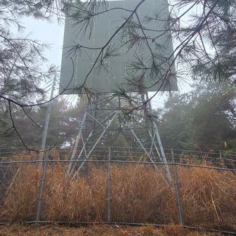 反射板て何だろう
AIによると…無線反射板（むせんせきはん）です。これは、電波塔からの無線信号を、山などの障害物がある場所や直接見通せない地域に反射させて送信するために使用される受動的な通信インフラです。…ふうんすごいね　電波を物理的に反射させられるんだって
ここ 左側通って奥を右へ行くよ