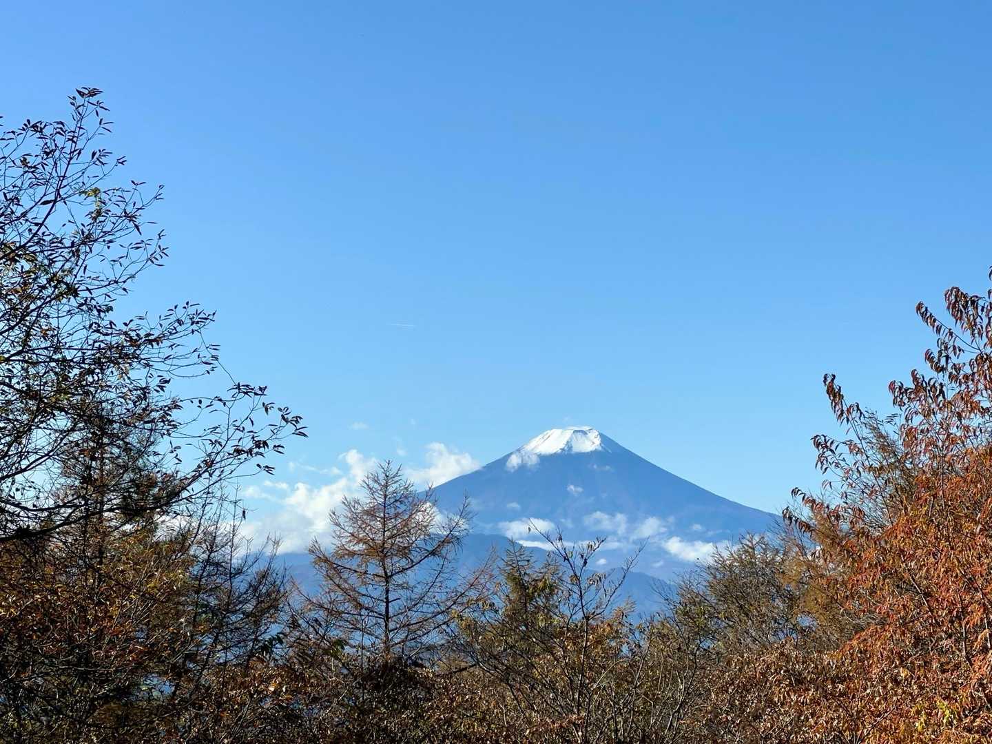 山頂からの富士山🗻