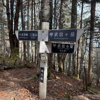 この分岐から少し急登
