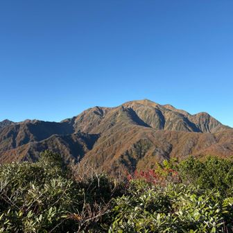 道行山山頂から越後駒ヶ岳