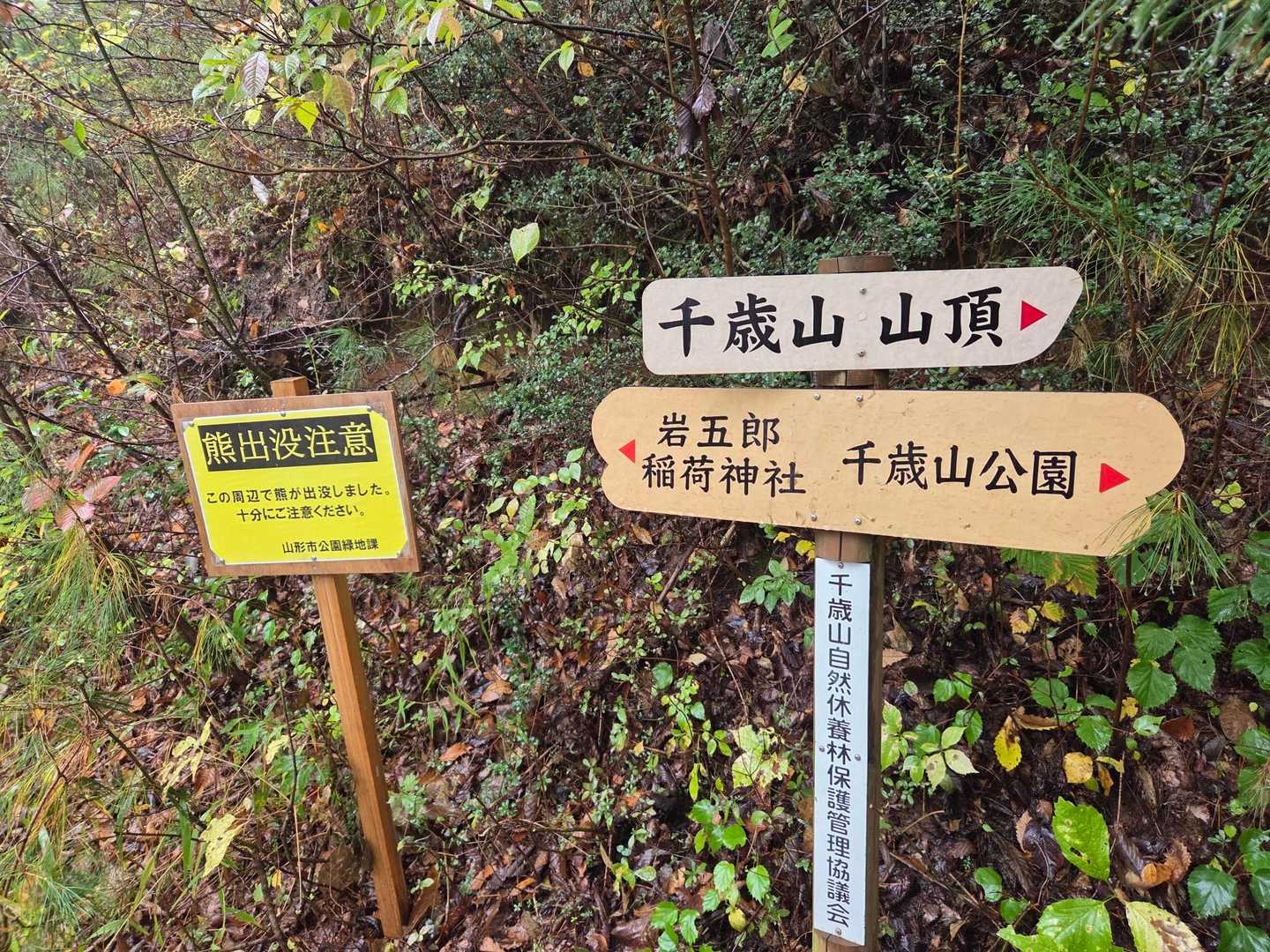 千歳山 往復コースの写真