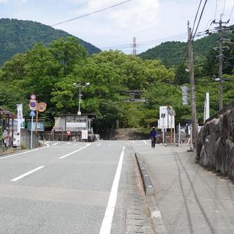 ついた