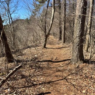 ガンギ沢ノ頭で御正体山北東尾根に合流