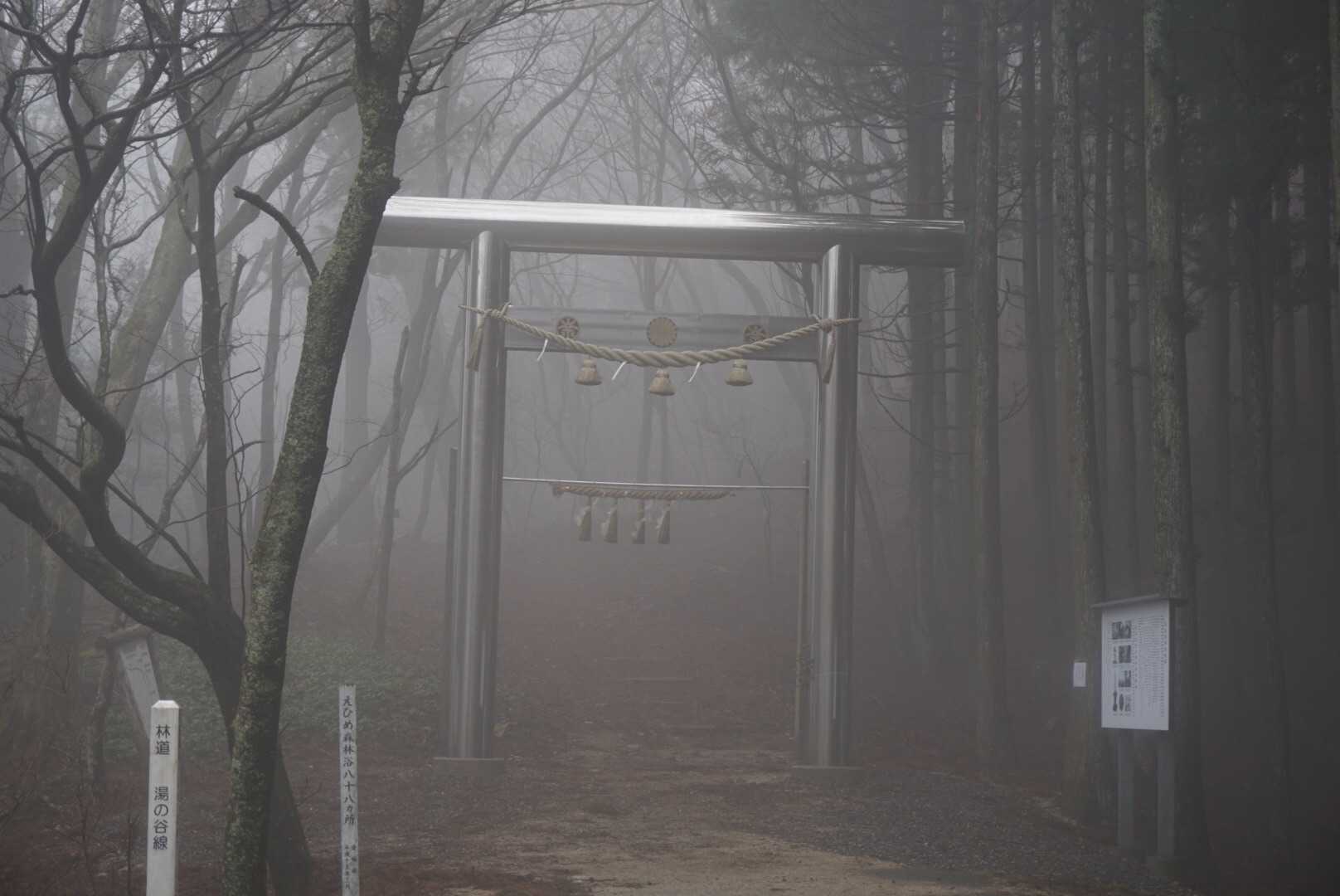 霧が立ち込めてて、いい雰囲気。
こないだ来たとこだから、ルートもわかってるので怖くない( ¨̮ )
