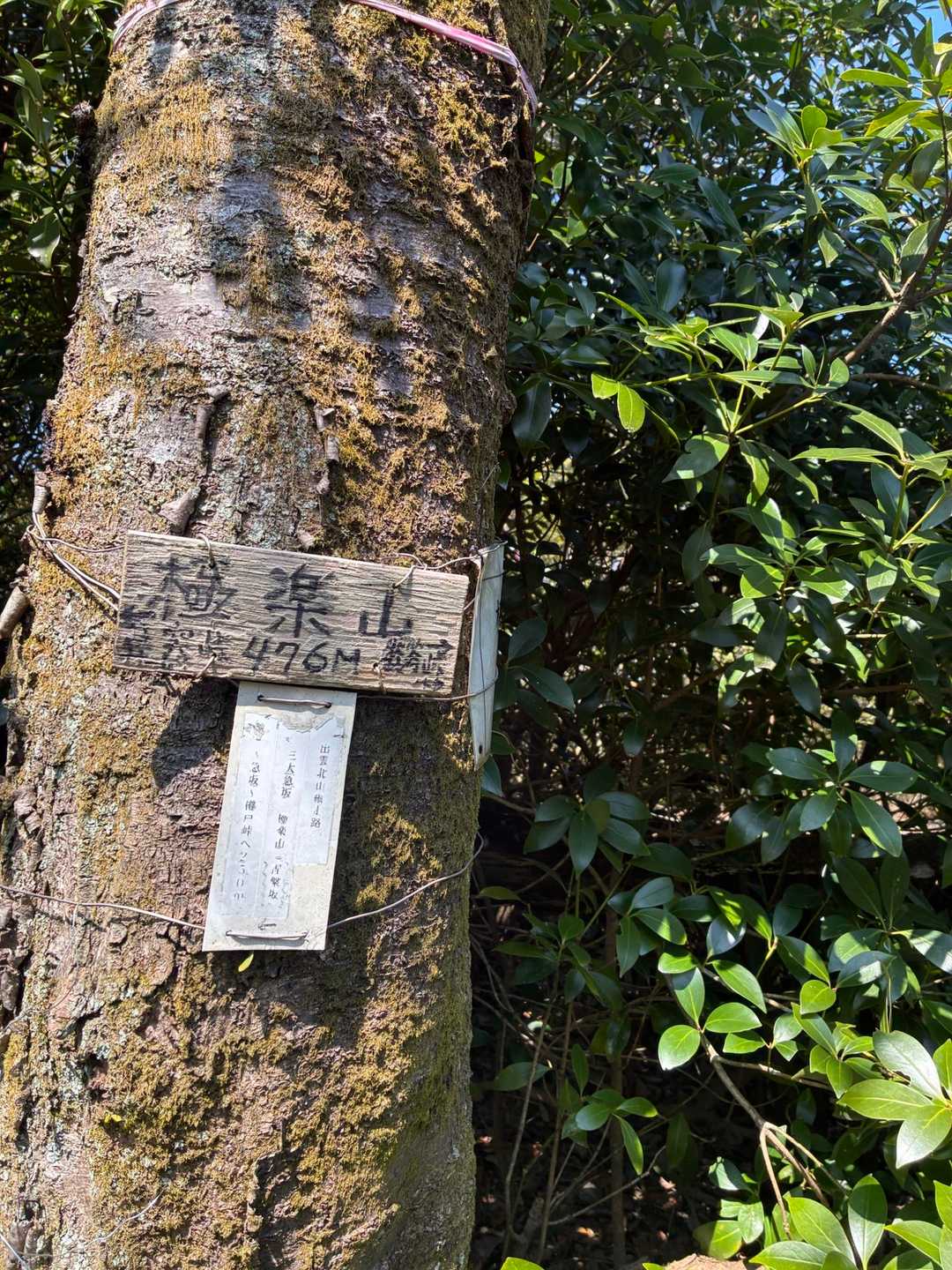 続いて極楽山ゲット·͜·ᰔᩚ
ここも急坂だったー💦
看板に三大急坂書いてあった笑