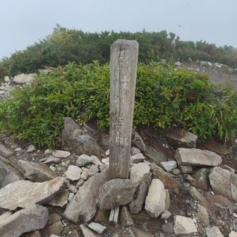 登頂⛰️